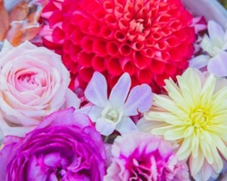 Gifts for That Special Woman in Your Life