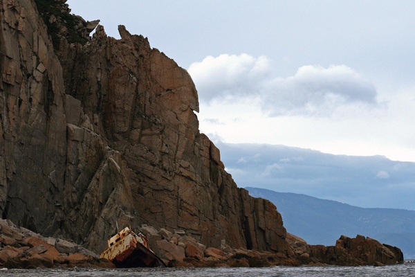 Owls of the Eastern Ice