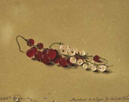For the Love of Currants