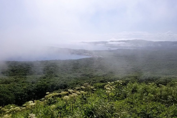 Concrete in the Clouds
