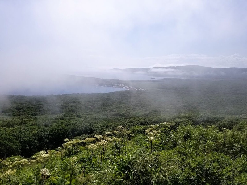 Concrete in the Clouds