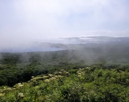 Concrete in the Clouds