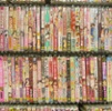 Manga Library Fined as 