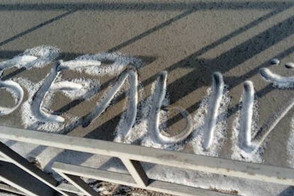 Black Snow, Brown Bears, and Sore Losers