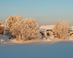 Virgin Arctic