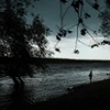The Disillusioned