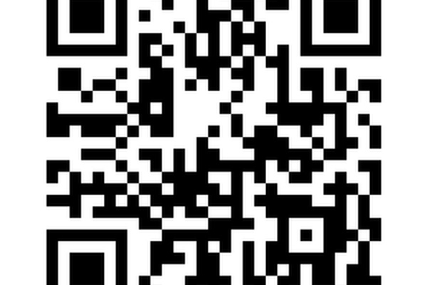 Criminal QR-Codes