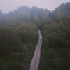 Forest Road