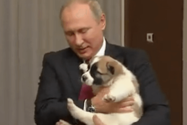 Putin in Birthdayland and Alice in Wonderland