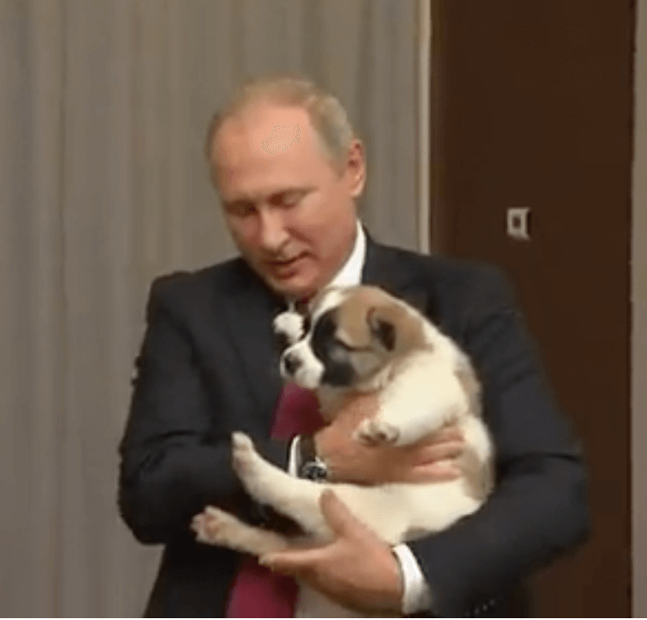 Putin in Birthdayland and Alice in Wonderland