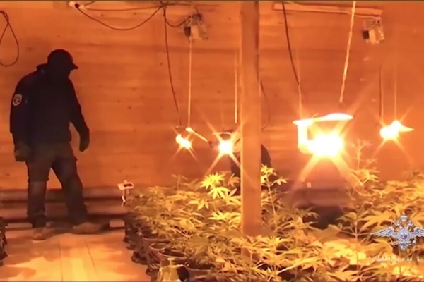 Lawmakers versus Troublemakers