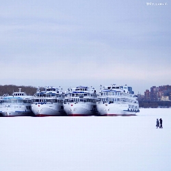 Boats at Rest