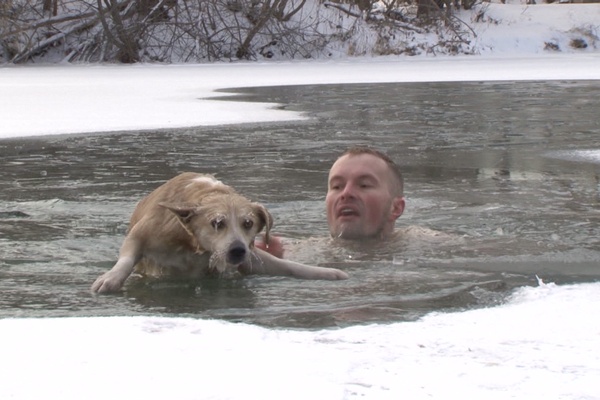 It's a Dog's Life (in Russia)