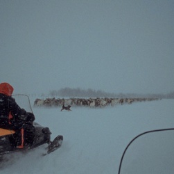 Snowmobile