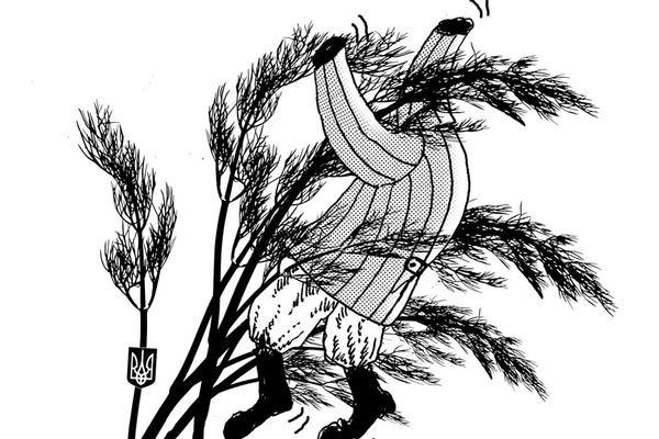 A War By Any Other Name