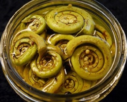 Tis the Season for Pickled Ferns and Ice Cream