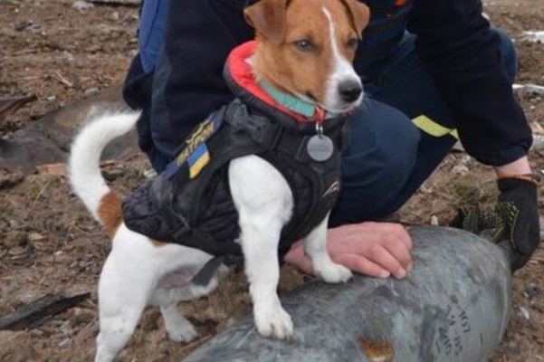 Ukraine's Best Friend