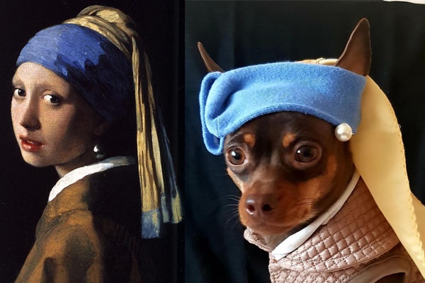 Pros and Cons of a Global Pandemic