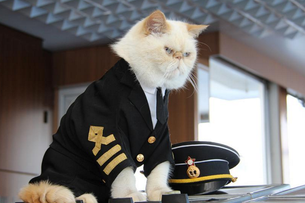 Olympians, Titans, and cats dressed up as sailors
