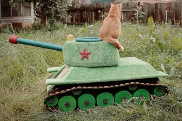 Giving thanks: Russian beauty, culture, and cats