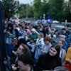 Crowds