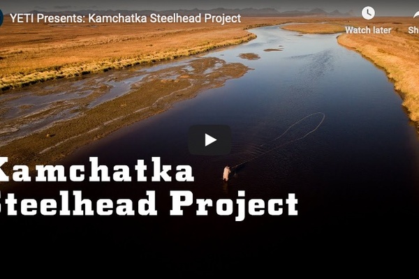 Saving Steelhead in Kamchatka