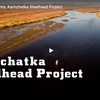 Saving Steelhead in Kamchatka