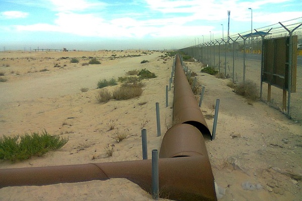 A Most Important Import