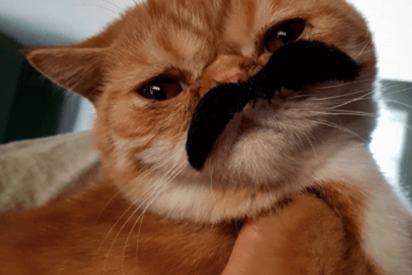 The World Cup Whirlwind Begins