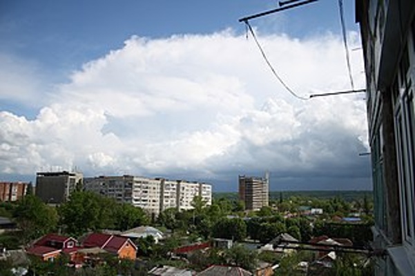 One Flower For Every Month In Prison