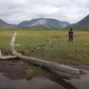 Siberia's Primordial Colors