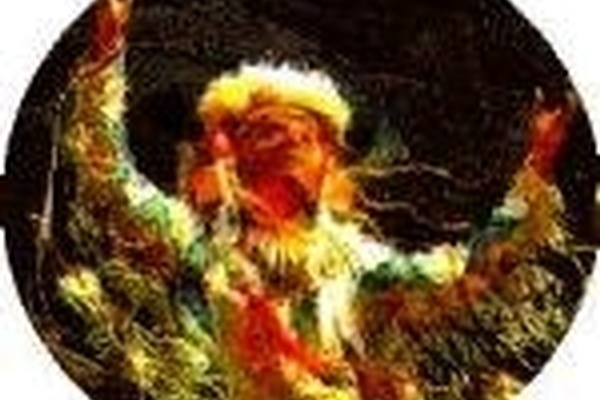 Shaman and Native Mysticism