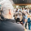Woman with dog