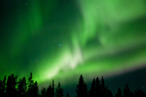 Estimate, Pray, Light