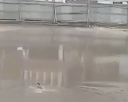 A Refreshing Dip