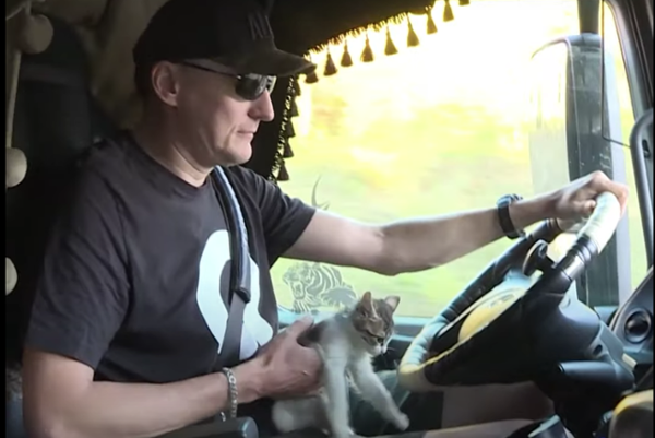 The Sweetest Stowaway