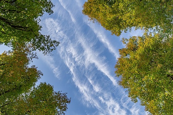 Moscow Metro Goes Big