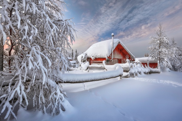 Spies, Found Life, and other Fantasies