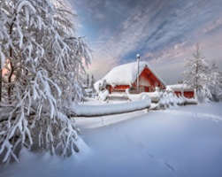 Food, Dance, Poets