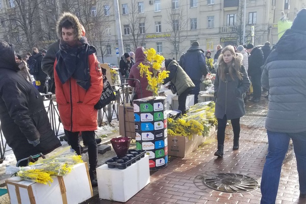 Not Such a Flowering Holiday